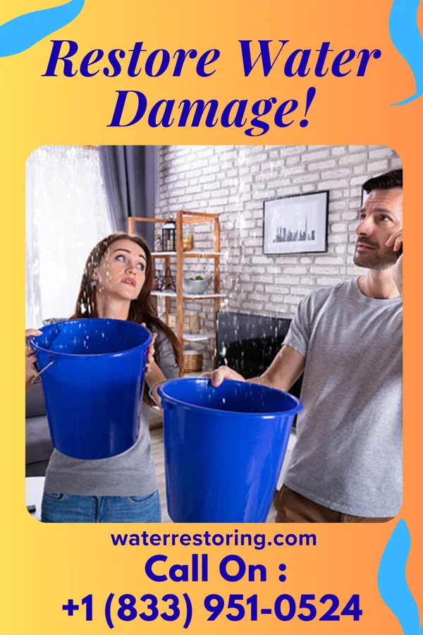 water restoration Complete Extraction Professionals Marion