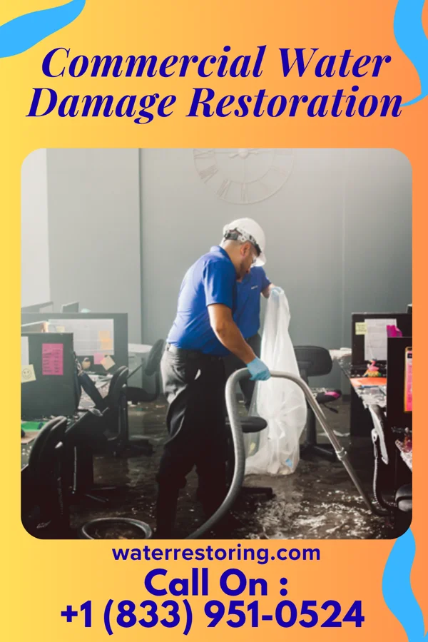 Commercial Water Damage Restoration in Marion, IL