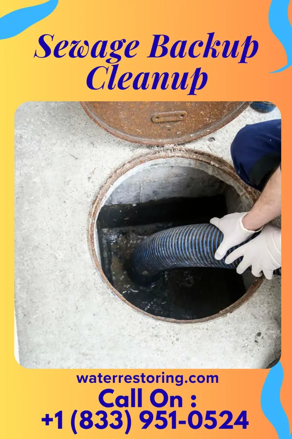 Sewage Backup Cleanup in Marion, IL